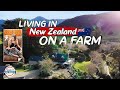 Living in New Zealand 🇳🇿 on a Farm 🐮🐣🐇 Rai Valley Sustainable Homestead Tour - 197 Countries, 3 Kids