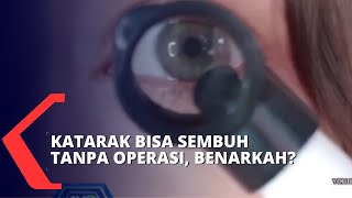 Penyakit Katarak Bisa Disembuhkan Tanpa Operasi?