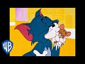 Tom y Jerry en Latino Podrían ser solo amigos no WB Kids Tom y Jerry en Latino Podrían ser solo amigos no WB Kids
