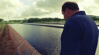 Algae Could Change the Fossil Fuel Industry