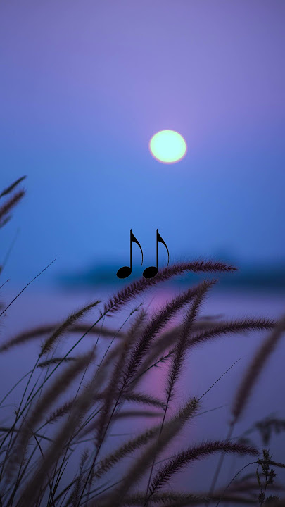 Noah-Yang Terdalam || Story WA #noah #yangterdalam #shorts #liriklagu