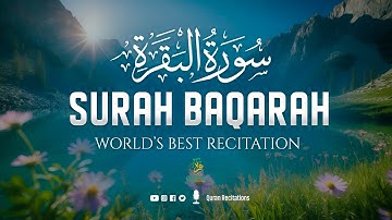 Surah AL BAQARAH Full (سورة البقره) THIS ULTIMATE VOICE WILL TOUCH YOUR HEART #surahbaqarah