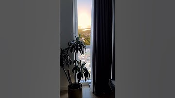 Is this the real life? Is this just fantasy? #VRexperience #PICO4 #PICOXR #Reallife #NoLimitation