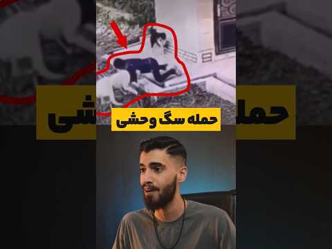 حمله سگ به انسان Shorts