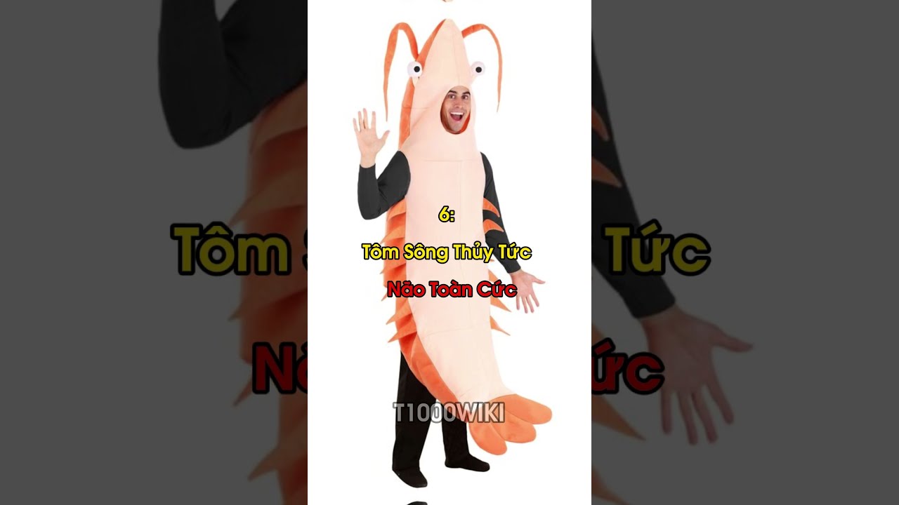 T1000wiki || Top 10 câu chửi văn minh của học sinh, giới trẻ.#top10 #students #school #shorts - youtube