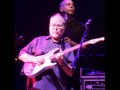 Walter Becker - Down in The Bottom