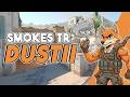 SMOKES ESSENCIAIS da DUST 2 (LADO TR) | CS2 #cs2 #csgo #counterstrike