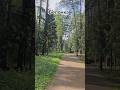 ПАРК И ЖИВАЯ ПРИРОДА/БЕЛОЧКА #природа #парк #лес #животные #белочка #shorts #reels #rek
