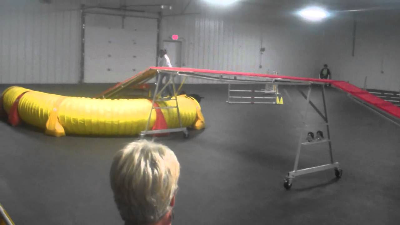 Bad Handler Sorry Gracie, I was a bad handler - YouTube