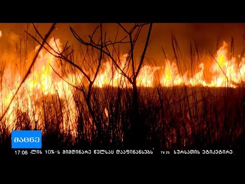 ოჩხამურში ხანძარის ლოკალიზება მაშველებმა რამდენიმე საათში შეძლეს
