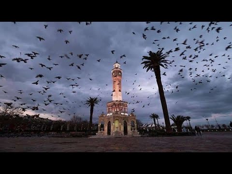 داري داري يا قلبي مهما تداري حمزة نمرة
