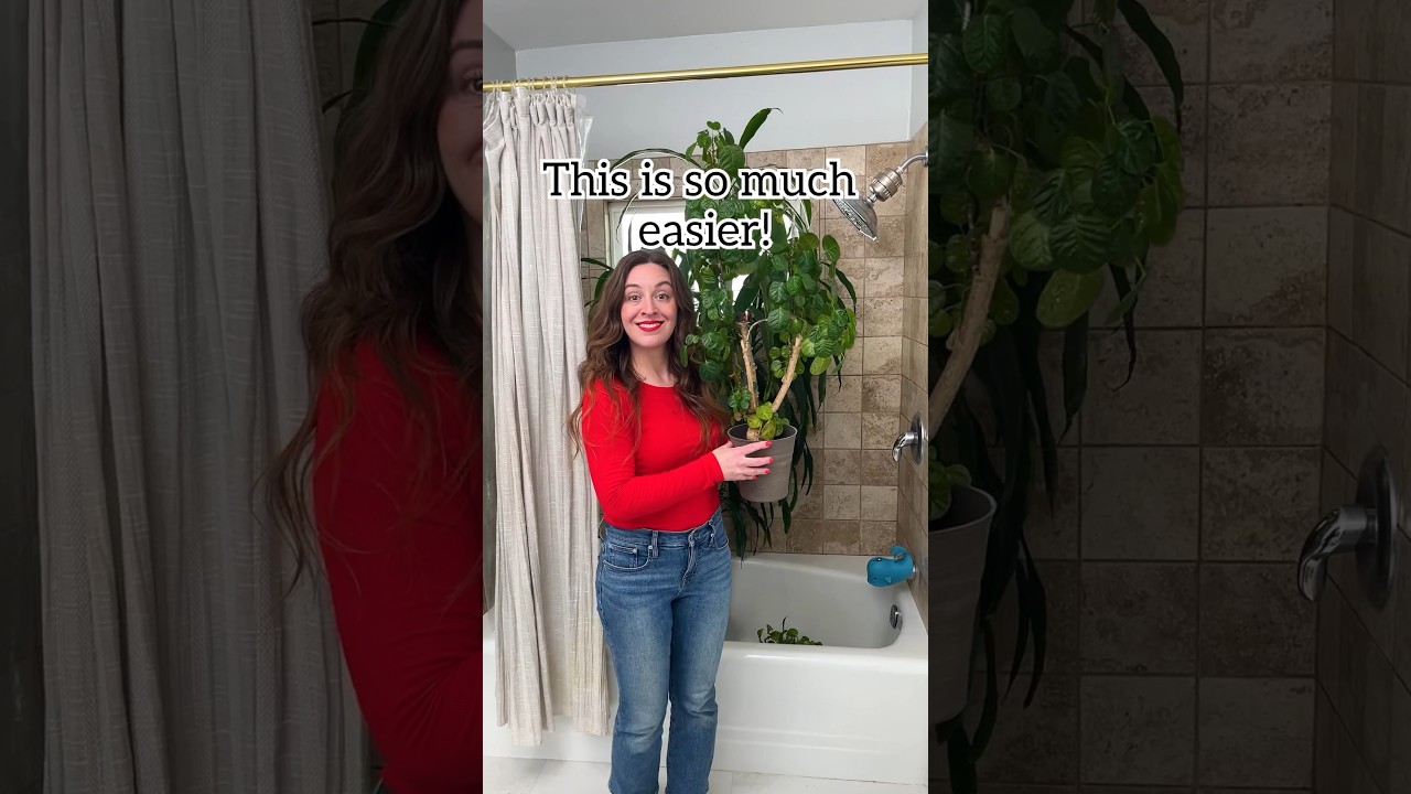 🪴 Shower your house plants to give them a good watering, AND clean off the leaves! 