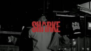 Drake x 40 Type Beat 2021 - "Work it Out" (Prod. Sharke)