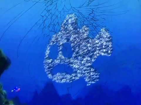 Finding Nemo p