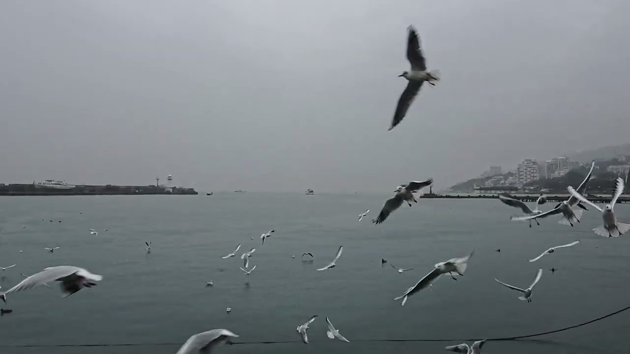 Дождливая прогулка по Ялте