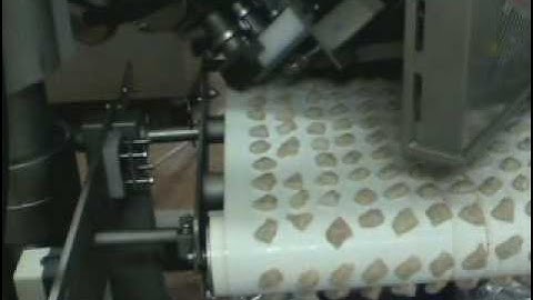 Seafood 12 head extruder.mpg