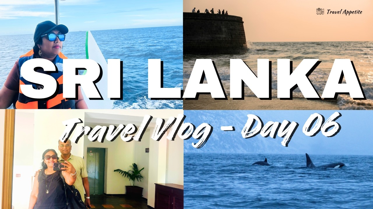 Видеоблог о путешествии по Шри-Ланке, день 6 | Наблюдение за китами | Форт Галле | Сафари по реке...