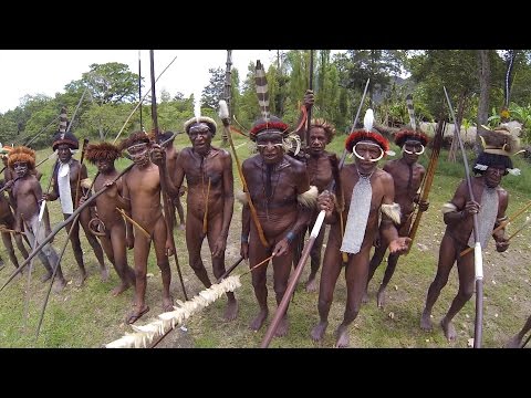 Video: En Jätte Råtta Som Finns I Skogarna I Papua Nya Guinea - Alternativ Vy