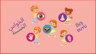 Arapça Şarkı Arapça Duyu Organları الحواس الخمسة