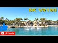 8K VR180 3D Sea World Dolphin Show Gold Coast Queensland Australia (Travel videos, ASMR/Music 4K/8K)