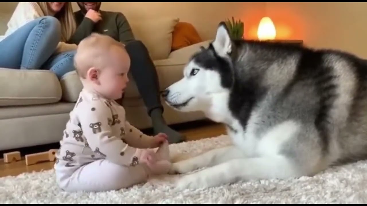 🤣👶 Baby Giggles