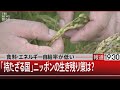 食料・エネルギー自給率が低い 「持たざる国」ニッポンの生き残り策は?【6月22日(水)#報道1930】