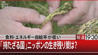 食料・エネルギー自給率が低い　「持たざる国」ニッポンの生き残り策は？【6月22日（水）#報道1930】