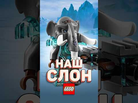 ДАРИМ СЛОНА из
