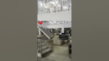 Customized Stainless Steel Cassava Starch Processing Line Equipment