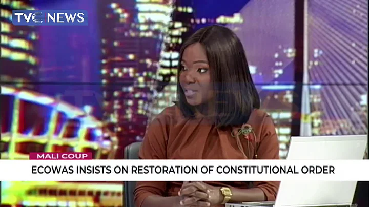 The Chaotic Situation In Mali Provoked The Coup - Akinterinwa