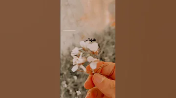 يا ارض الربيع الدائم 