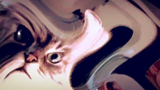 Watch Black Moth Super Rainbow Fields Are Breathing video