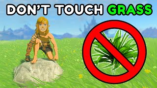 Can You Beat Tears of the Kingdom without touching grass?