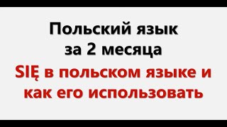 Польский язык. Интенсив / SIĘ в польском языке и как его использовать