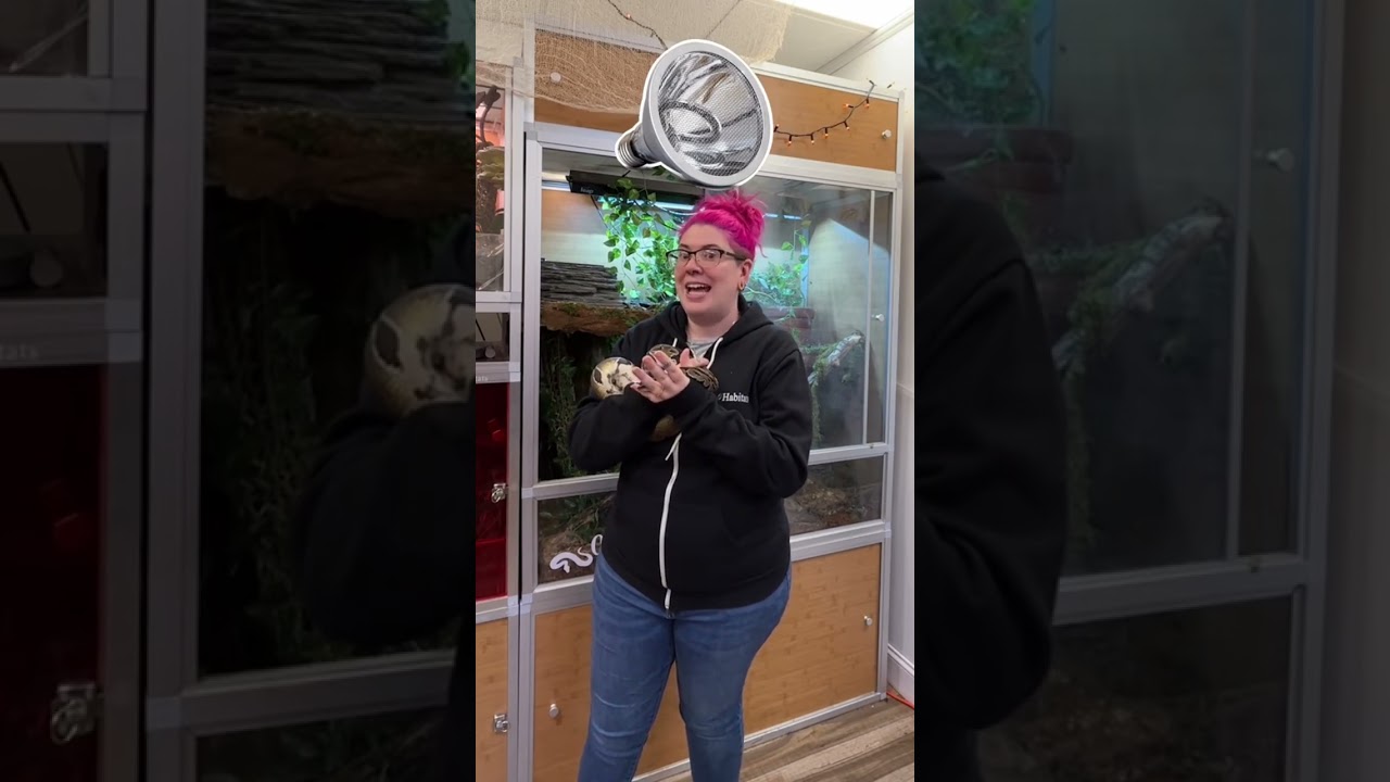 Проекторы Deep Heat против галогенных ламп! Интересно, правда? 💡☀️