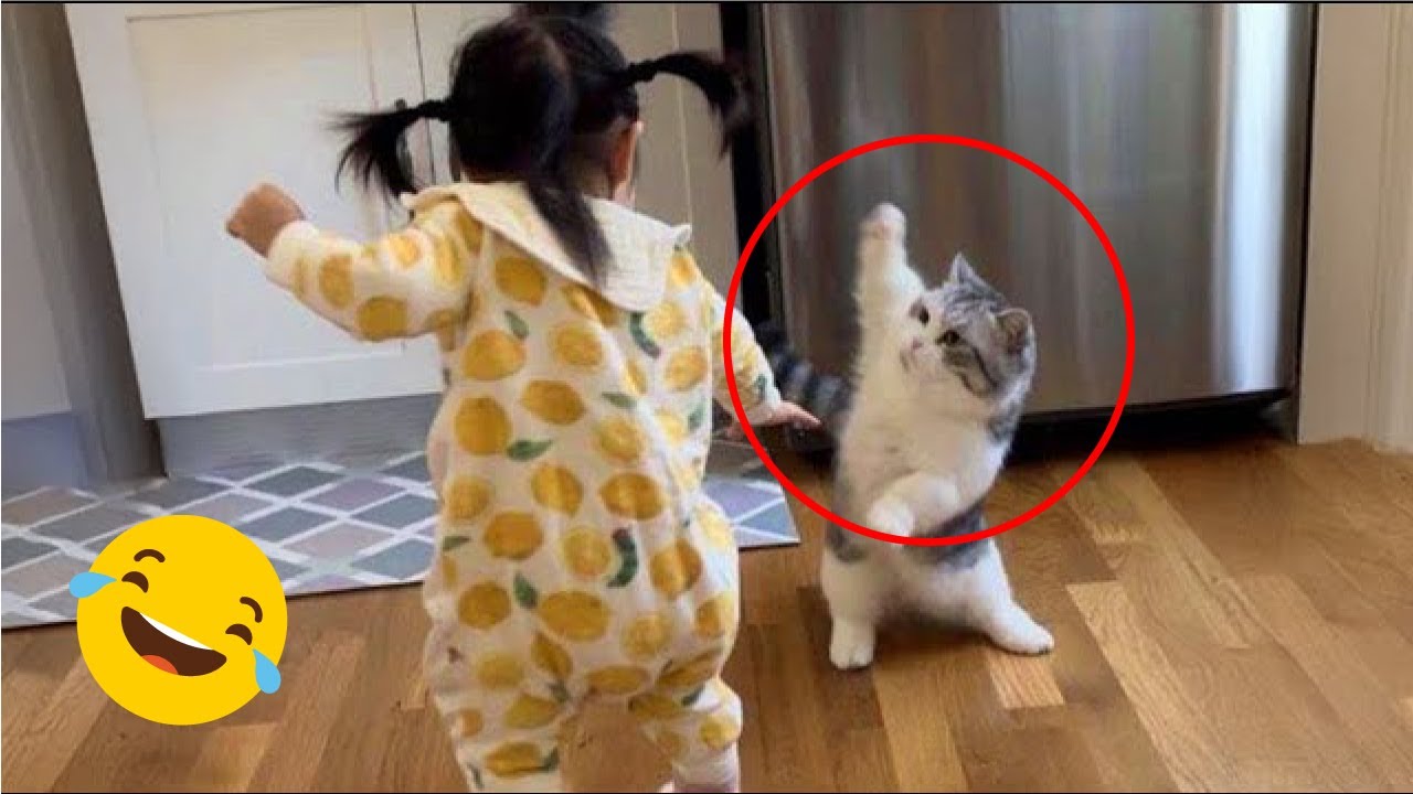 20 minutes of adorable 😻cats and kittens videos to keep you smiling 😻❤️