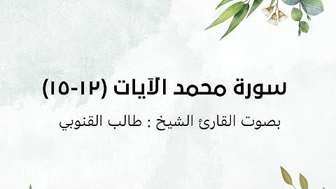 سورة محمد الآيات (١٢-١٥)