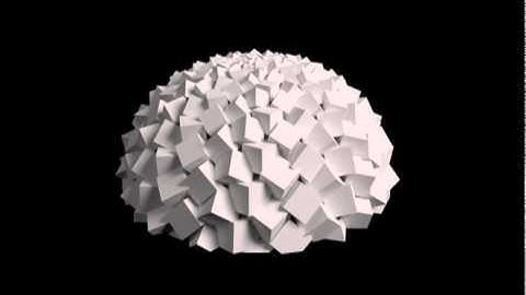 Fibonacci Zoetrope Bloom using Blender