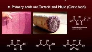 The Chemistry of Wine