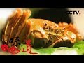 [味道]人间四月鲜-水中之鲜 高淳醉蟹 如何获得固城湖的螃蟹 | CCTV美食