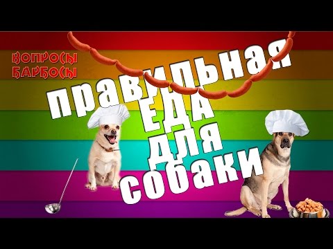 Видео: Рецепт для собак с арахисовым маслом Easy-Peasy