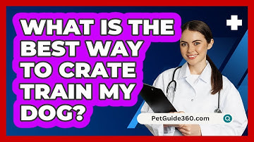 What Is the Best Way to Crate Train My Dog?