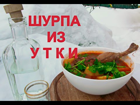 ШУРПА.Как приготовить шурпу. Суп из утки. Охотничий рецепт.