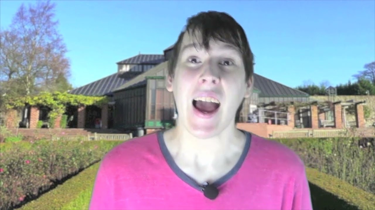 In and Out The Dusty Bluebells