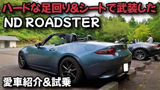 NDロードスター いたずらっぽい TEIN MONOSPORT 車高調 難あり