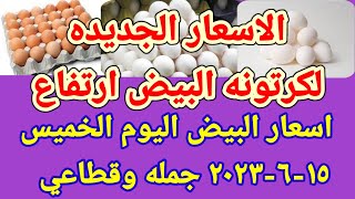 سعر البيض اسعار البيض اليوم الخميس ١٥-٦-٢٠٢٣ جمله وقطاعي فى مصر