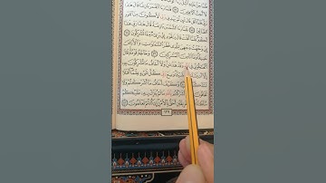 تعليم سورة الأنعام من الآية 80 إلى الآية 81