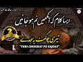 Heart touching kalaam teri chokhat pe sajday hafiz hammad hameed islamic releases