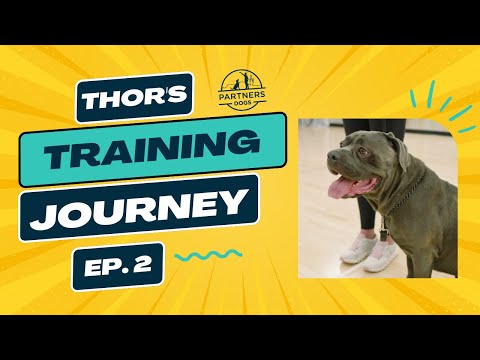 Thor: Episode 2