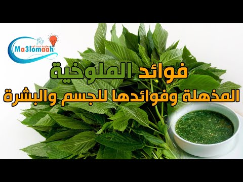 فوائد الملوخية المذهلة لا تصدق بعد تناولها تعرفوا عليها